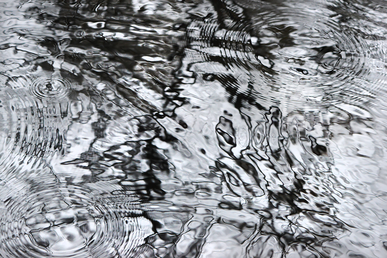 waterkringen 11-2021 0601