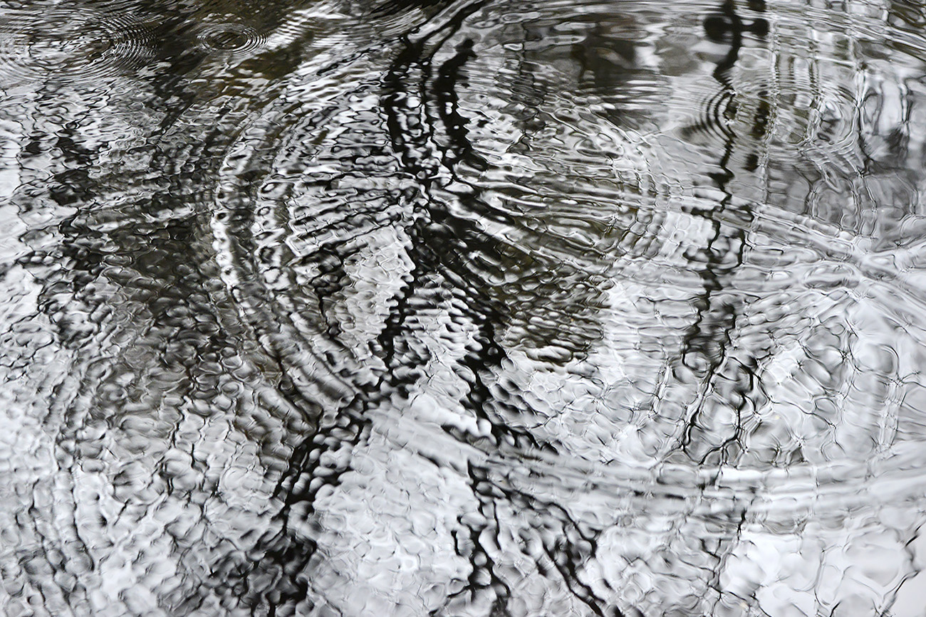 waterkringen 11-2021 0643