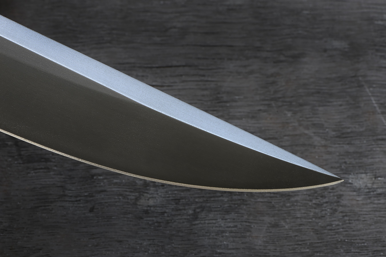 zgm 22 corax 8-2022 5041