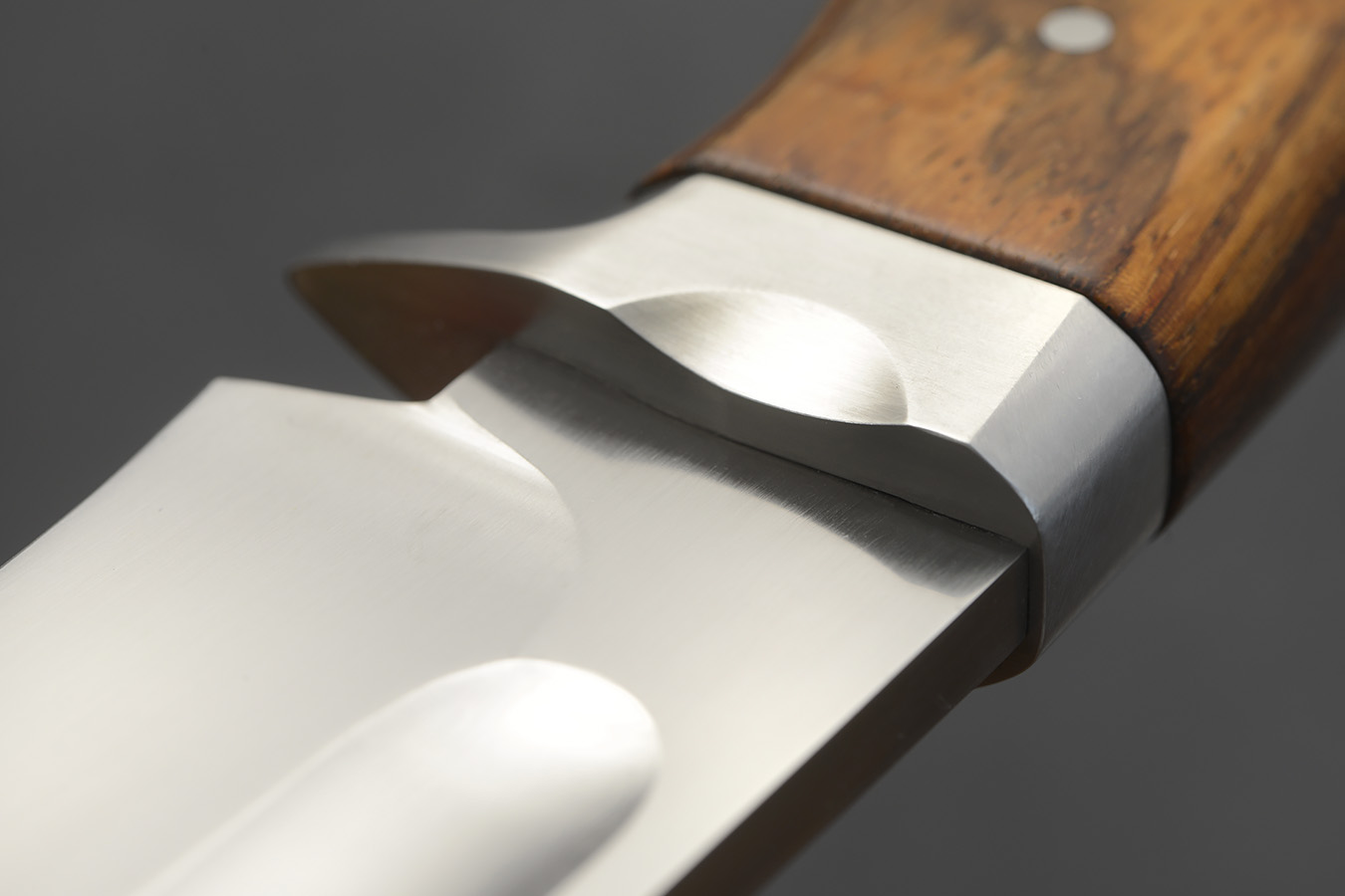 zgm 25 ockham 2-2024 0133