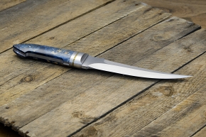 zgm 26 aculeus 5-2024 0388