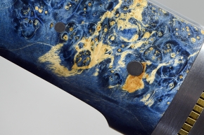 zgm 26 aculeus 5-2024 0447