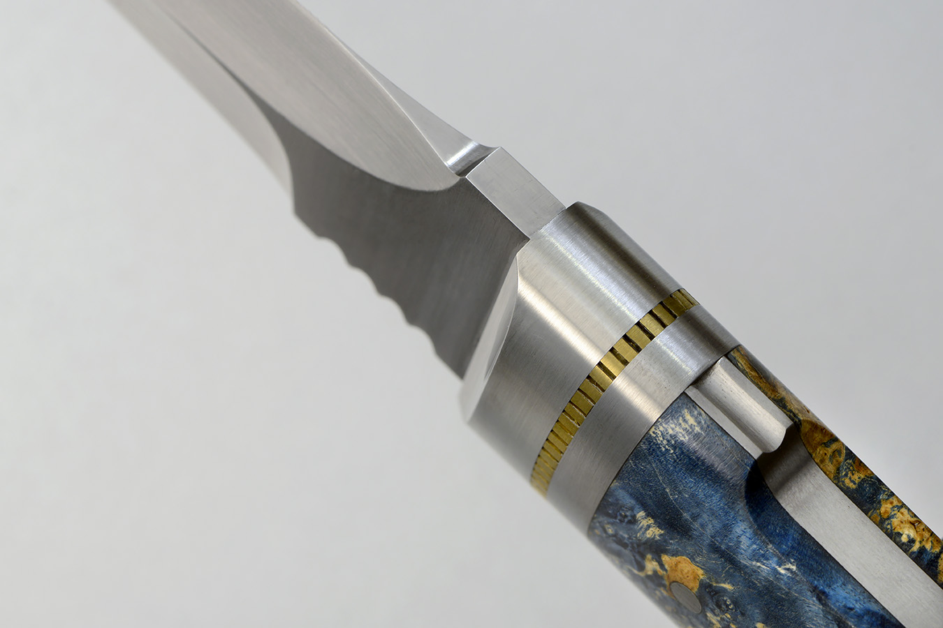 zgm 26 aculeus 5-2024 0451