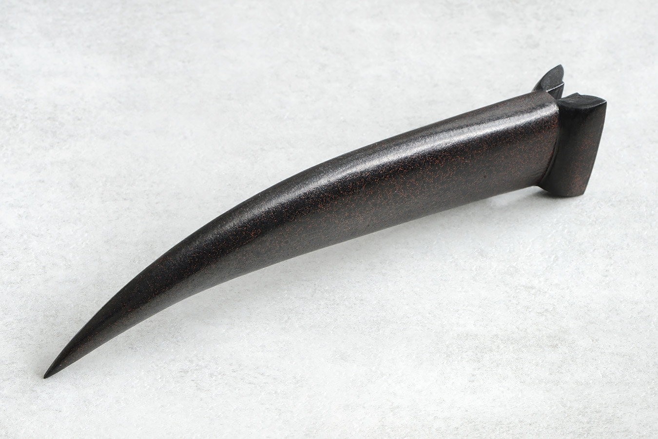 zgm 26 aculeus 6-2024 0650