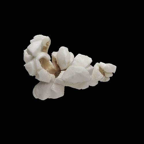 popcorn 12-2010 2936