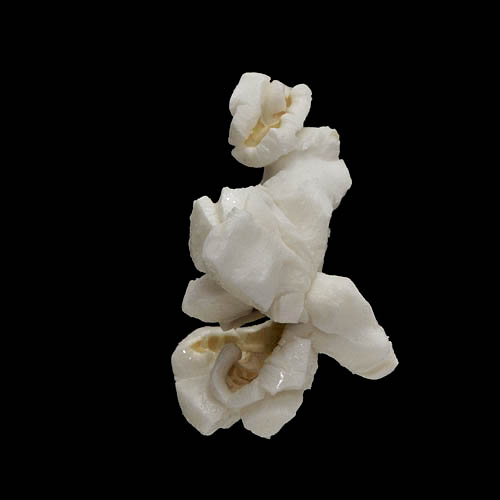 popcorn 12-2010 2937