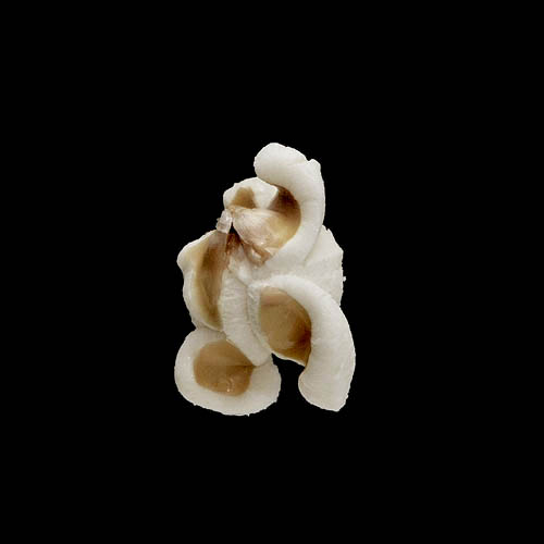 popcorn 12-2010 2939