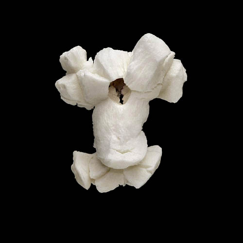 popcorn 12-2010 2946