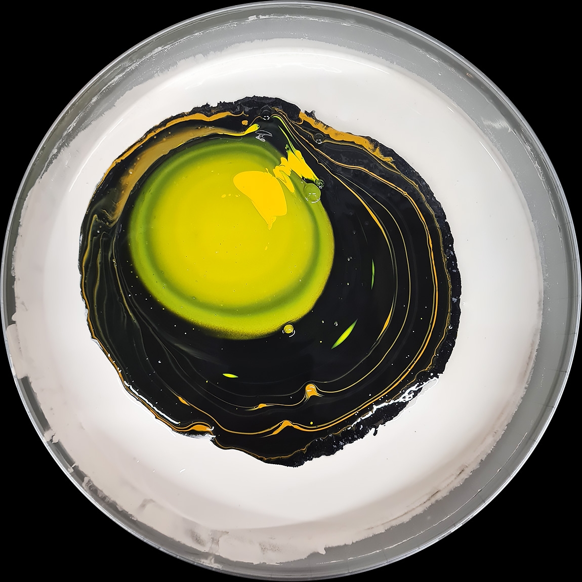 verfblik 12-2024 160459