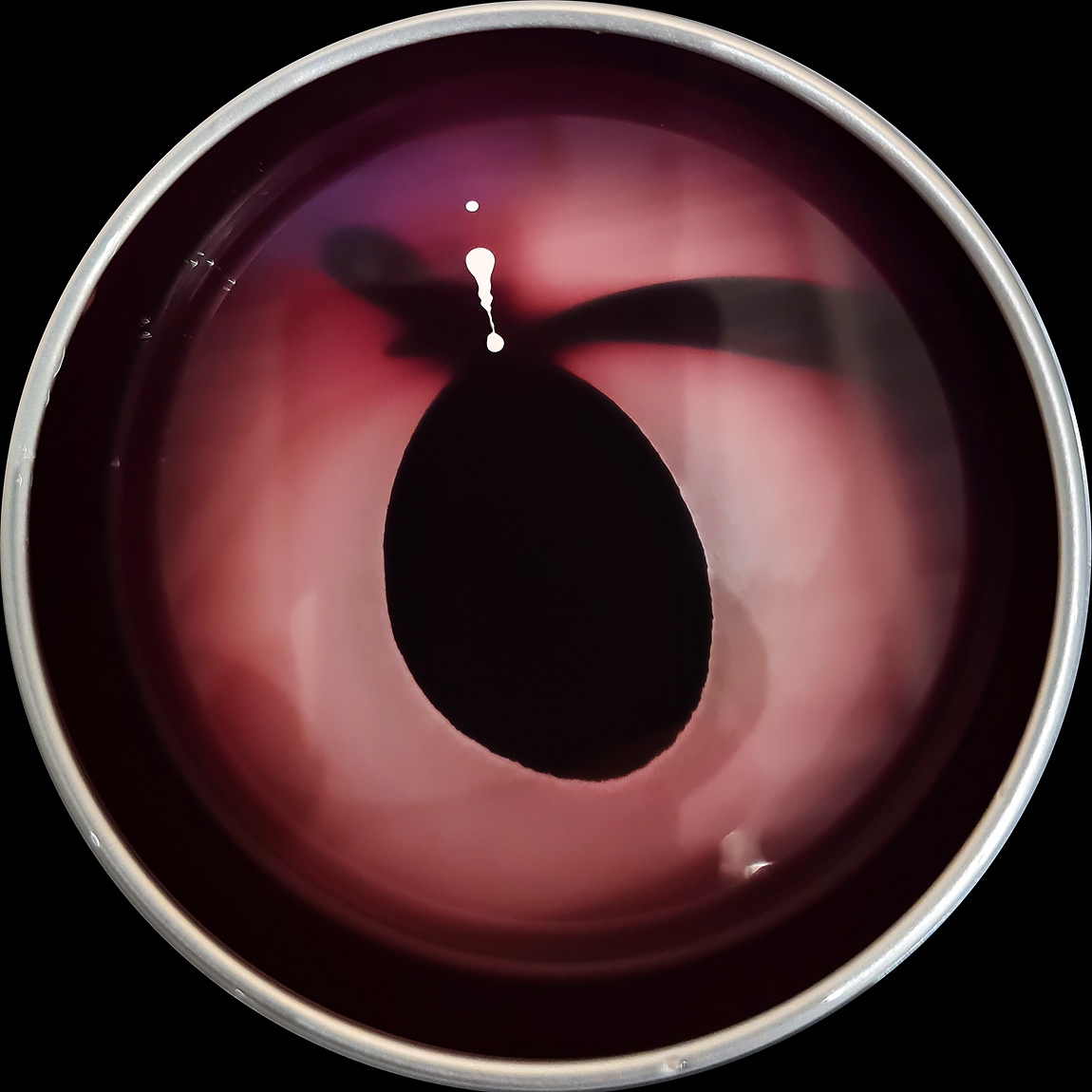 verfblik 3-2024 144133