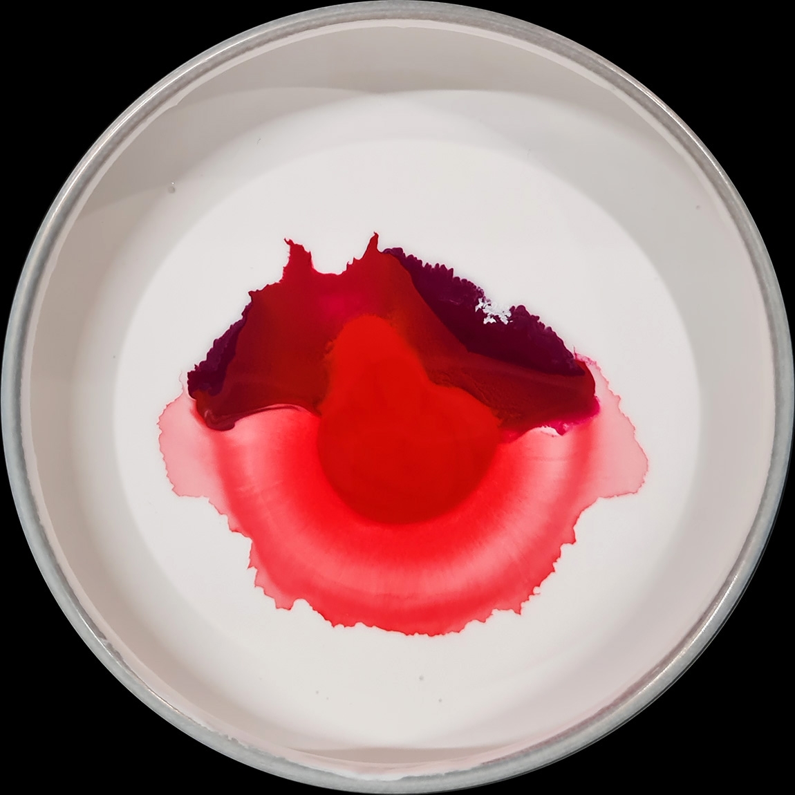 verfblik 4-2025 112044