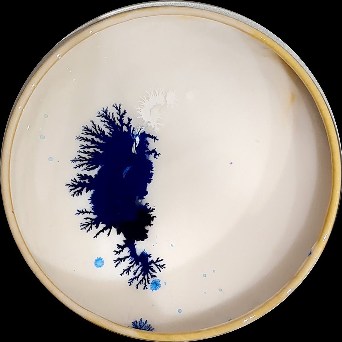 verfblik 6-2024 110109