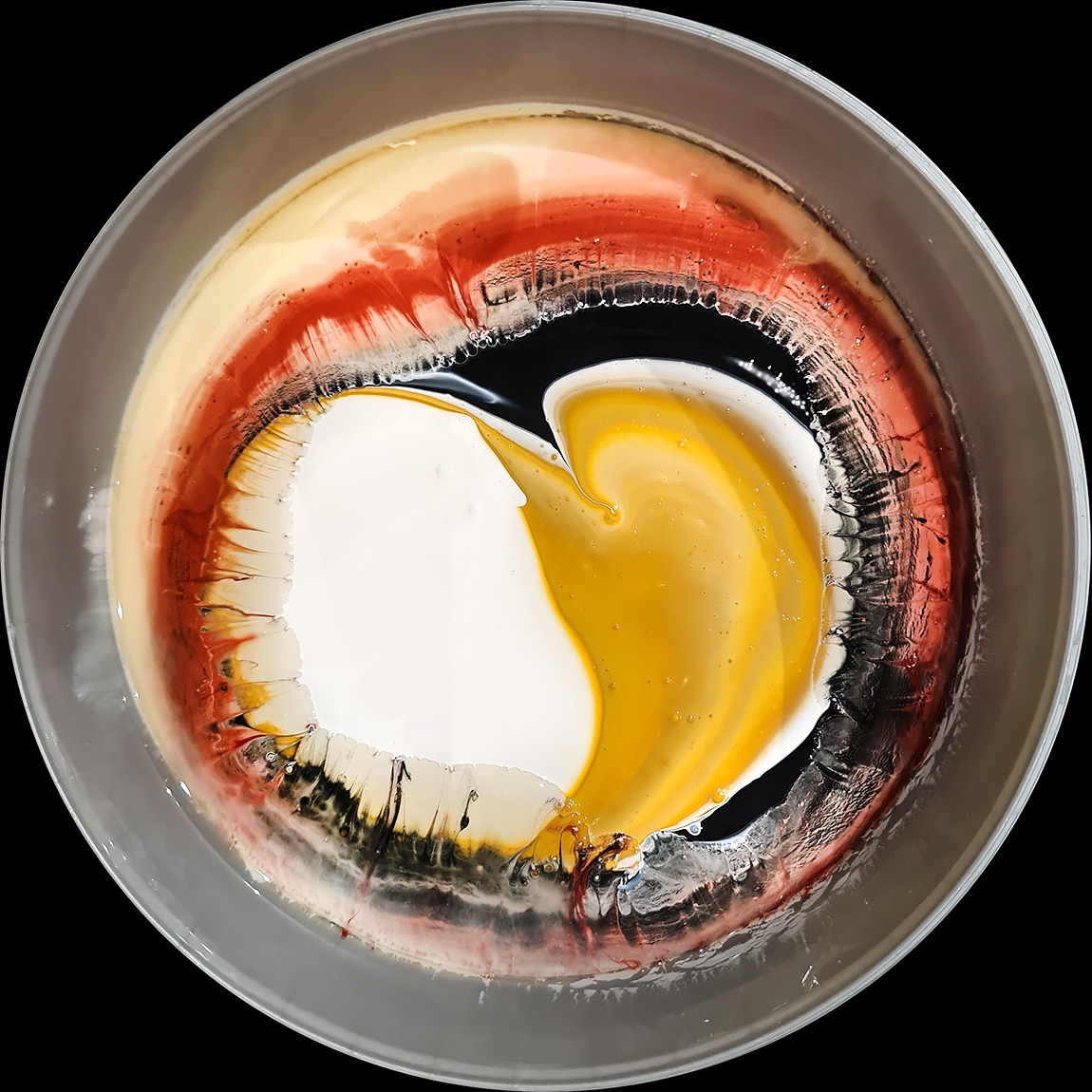 verfblik 6-2024 110302